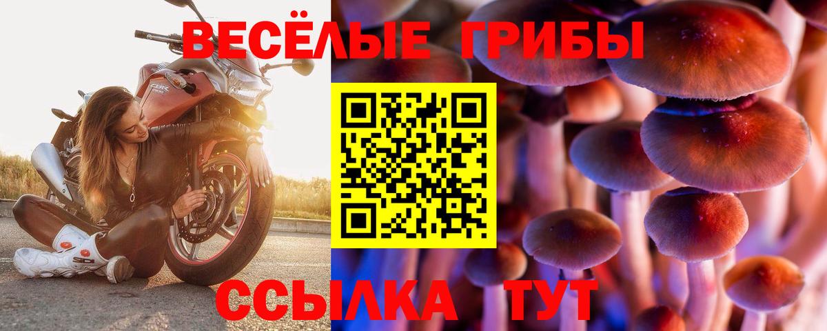 Железноводск  Псилоцибиновые грибы мухоморы  Вход с VPN 